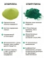 SPIRULINA & CHLORELLA MEDCRAFT - 1